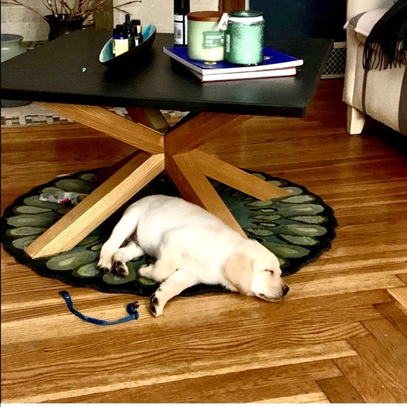 New sidekick trip to the lake .... - Picture 13 of 13